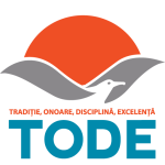 Editor TODE